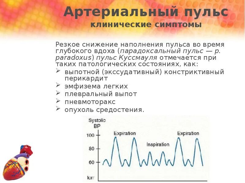 Почему снижается пульс. Характеристики пульса наполнение. Пульс презентация. Для снижения пульса. Характеристика пульса в покое.