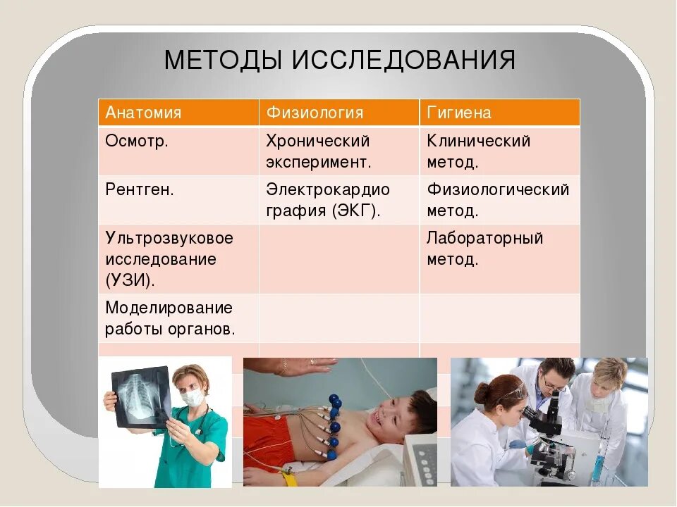 Современные методы исследования тест. Методы исследования анатомии и физиологии. Методы анатомии и физиологии и гигиены. Методы изучения анатомии. Методы исследования в анатомии и физиологии человека.