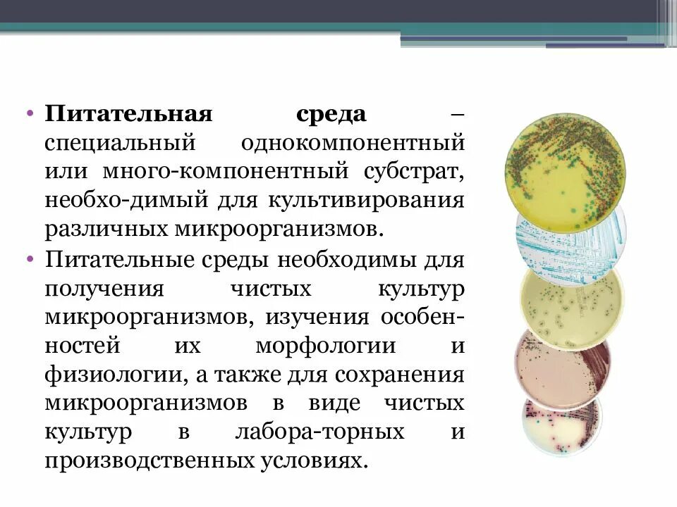 Питательные среды должны. Питательные среды. питательные среды для культивирования микроорганизмов.