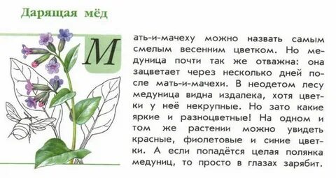 Истории про травы
