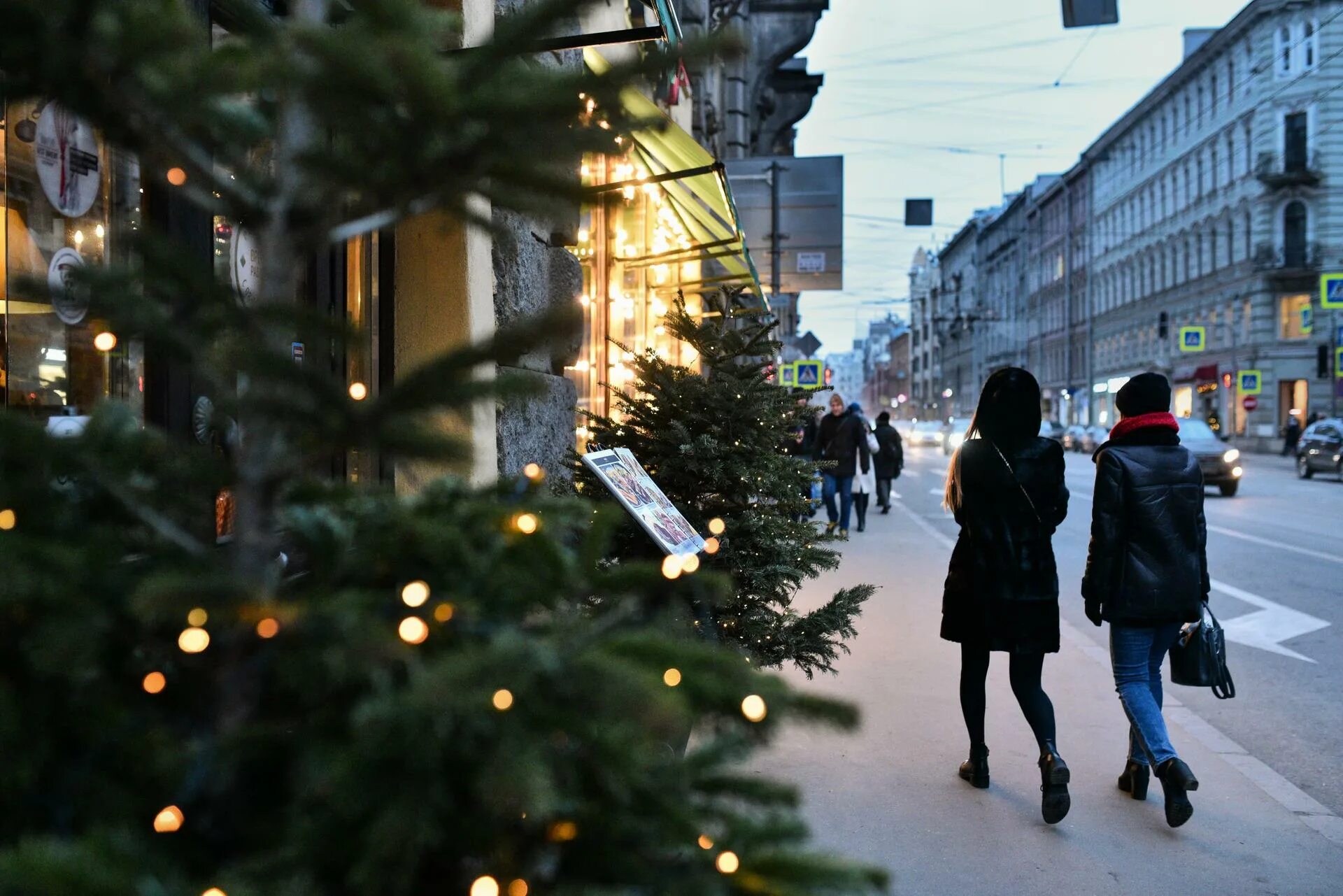 Елочные базары в санкт петербурге. Елочный базар петербург. елочные базары в спб 2025. елки спб базар. ёлочные базары откроют в петербурге.