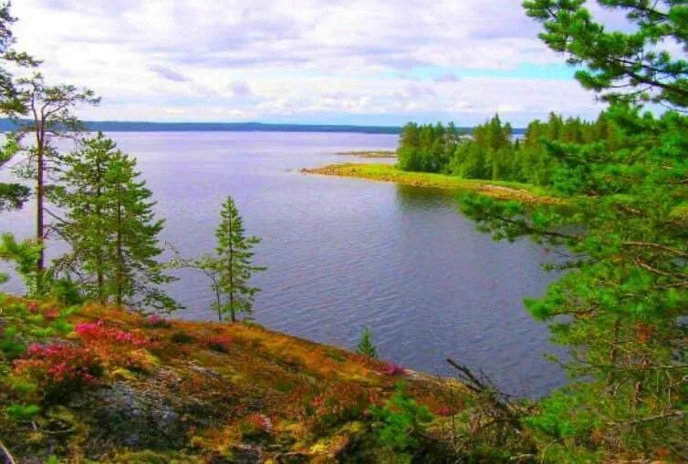Кандалакша заповедник. Кандалакшский заповедник. Кандалакша заповедник. Заповедники кандалакшский залив. Кольский полуостров кандалакшский заповедник.