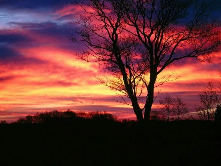 Red dusk