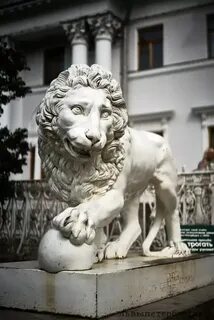 Белый лев санкт петербург