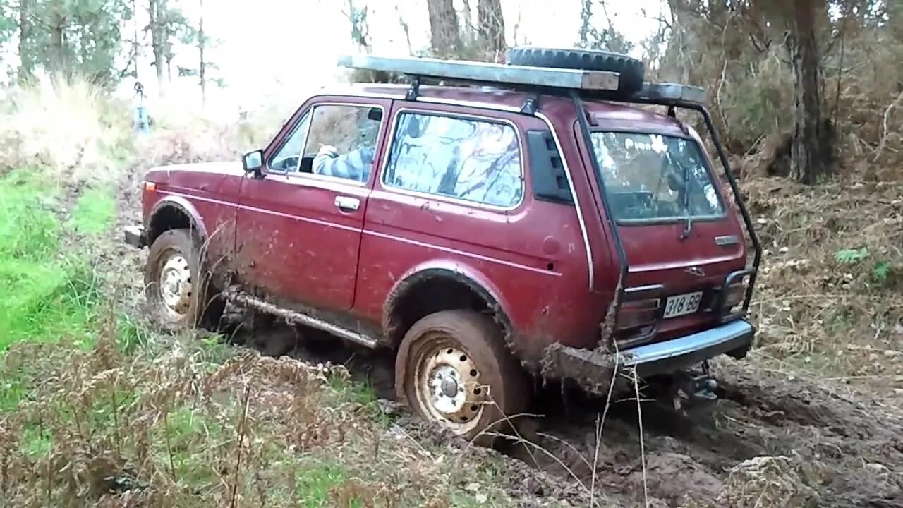 Нива и сузуки гранд витара. Сузуки витара 1998 2,5 v6 шноркель. Suzuki vitara 1991 3 двери или нива рядом. Сузуки гранд витара квадрат. /grand/ vitara 2013.