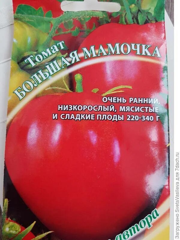 Помидоры мамочка описание сорта фото отзывы