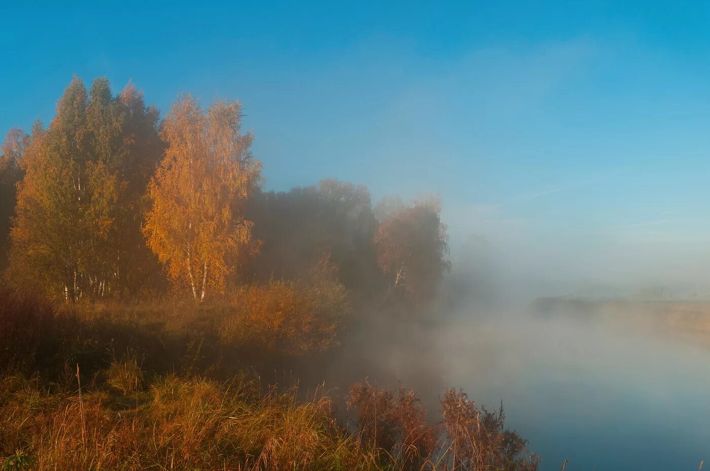 Осеннее утро туман. Туманная осень. Туман осенью. Осенний туман. Осень туман.