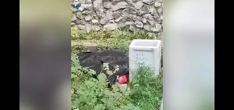 Девочка выпала из окна нижний