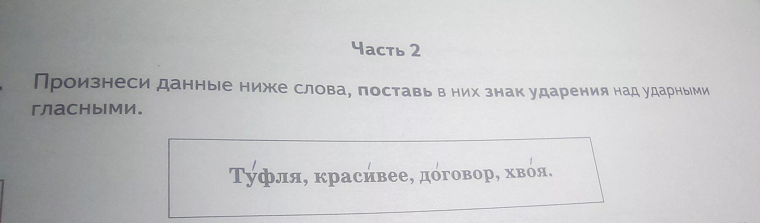 Знак ударения. Туфля красивее договор хвоя ударение. Поставь знак ударения договор. Ударение красивее договор хвоя. Красивее портфель хвоя средства поставь