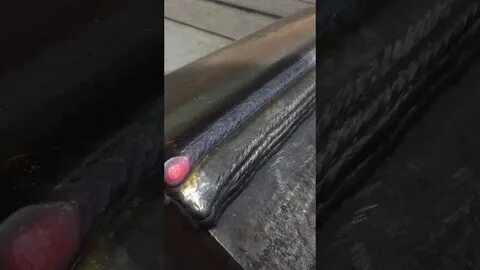 Порошковой проволокой авто