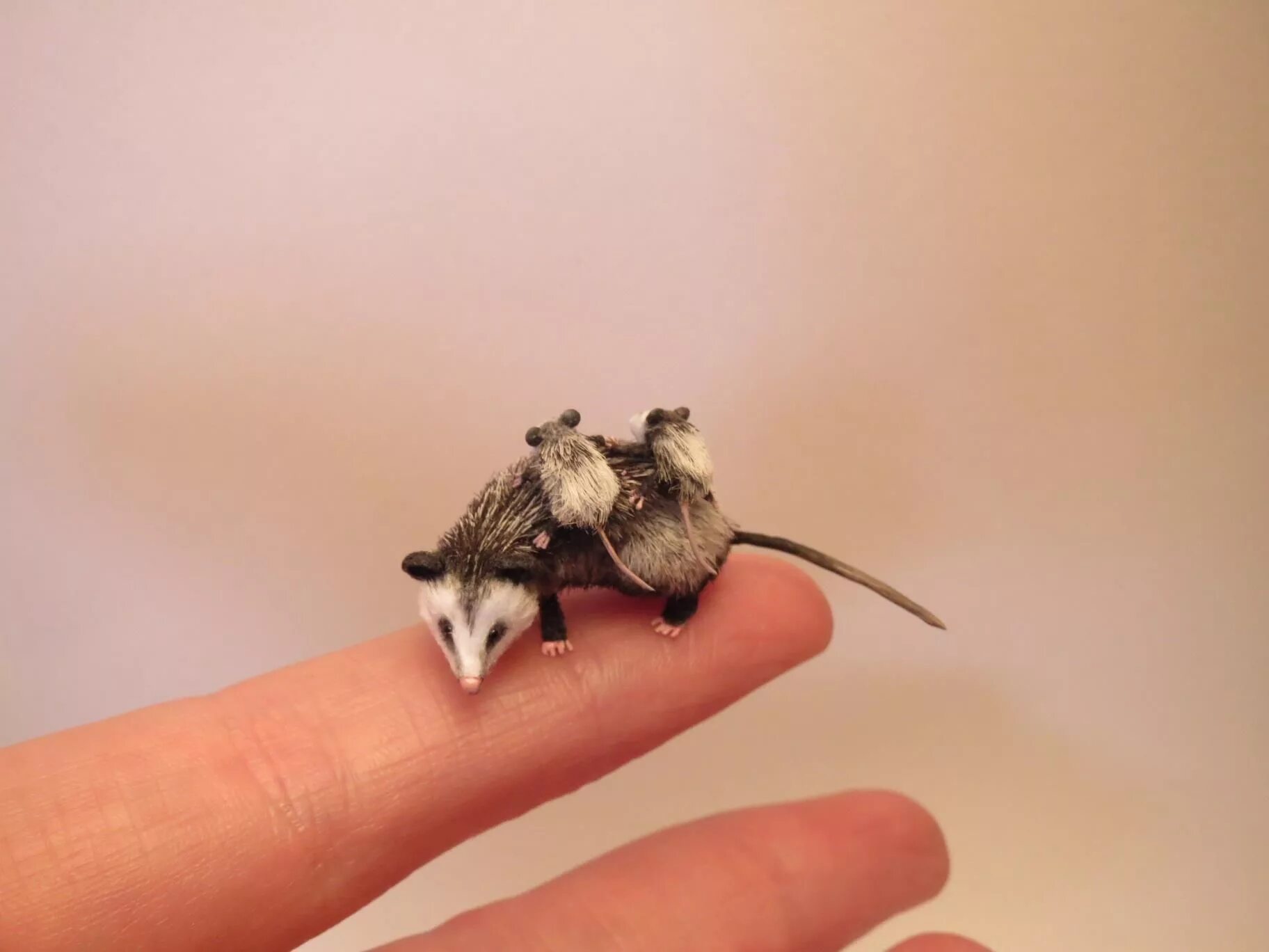 Короткие миниатюры смешные. Сыр из полимерной глины мастер класс. Тацуя танака миниатюры. Миниатюрные животные из полимерной глины. Самые прикольные миниатюры.