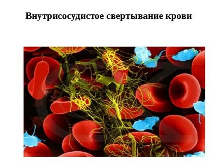 Функциональная активность тромбоцитов