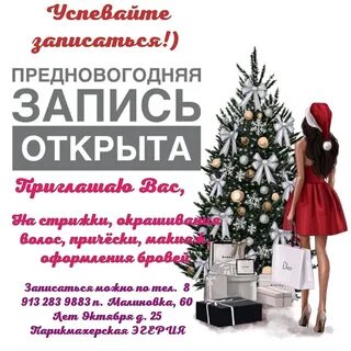 Предновогодняя запись открыта