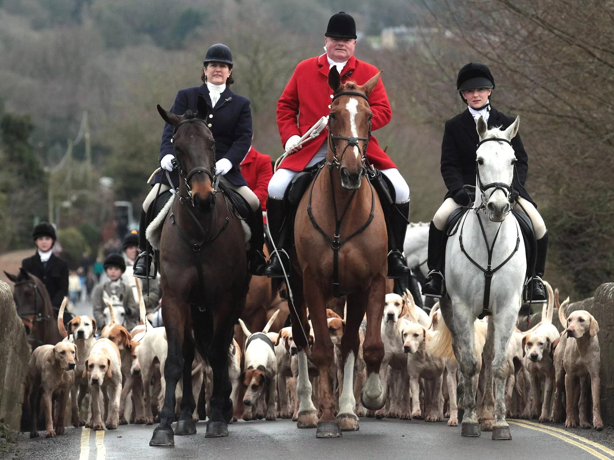 Fox hunt. Фокс Хантинг. Охота на Лис в Англии. Англия охота на Лис костюм. Охотник в Англии.