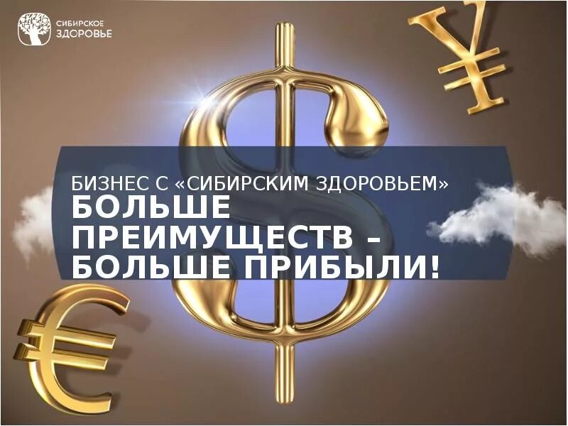 Сибирское здоровье бизнес партнер. Сибирское здоровье бизнес. Ранги в Сибирском здоровье. Презентация Сибирское здоровье. Сибирское здоровье бизнес план.