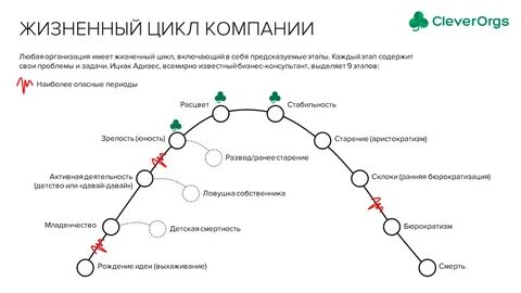 Жизненный цикл компании по адизесу
