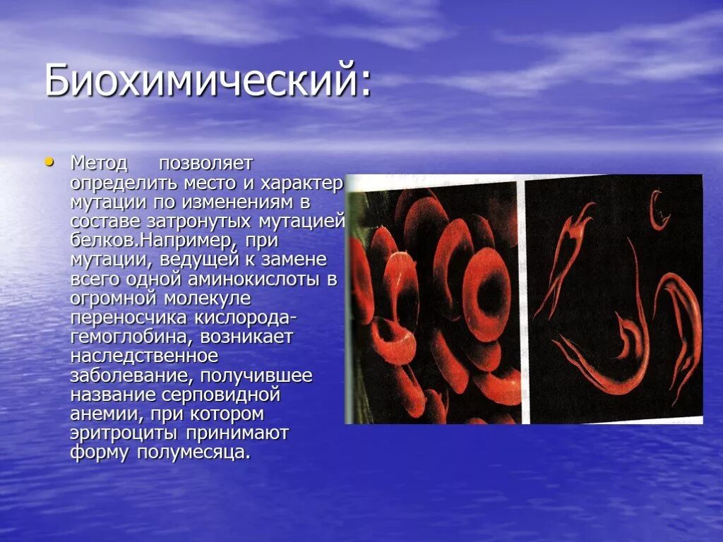 Пример биохимического метода в биологии