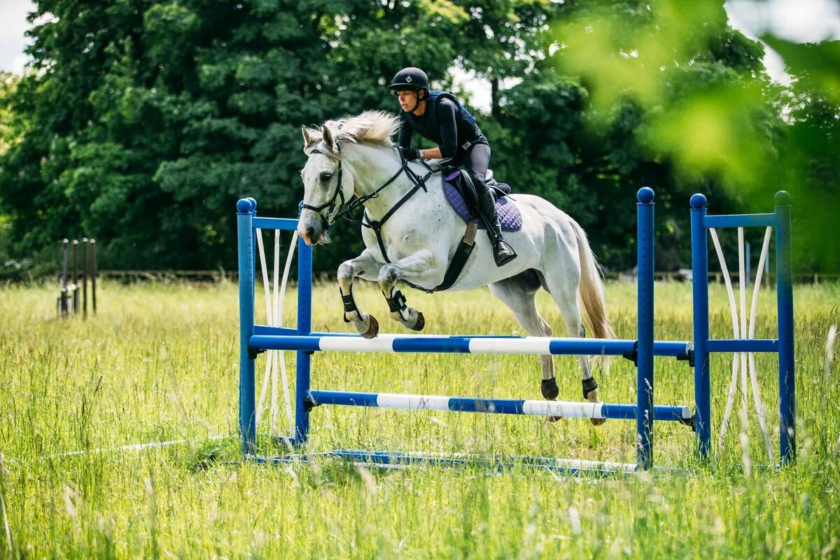 Horse riding. Хорс Ридинг. Horse Rider. Lazar Equestrian Park.