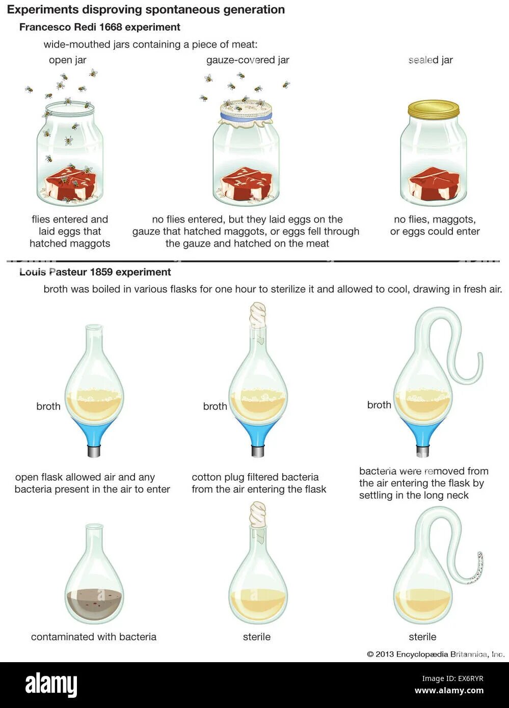 What is the idea of the experiment