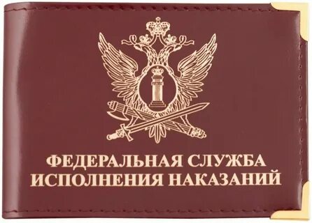 Федеральная служба исполнения судебных решений