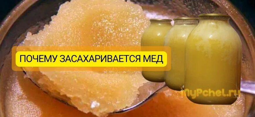 Почему мед не кристаллизуется. Почему мёд засахаривается. Почему мед сахарится. Мед который не засахаривается. Засахаривается ли настоящий мед.