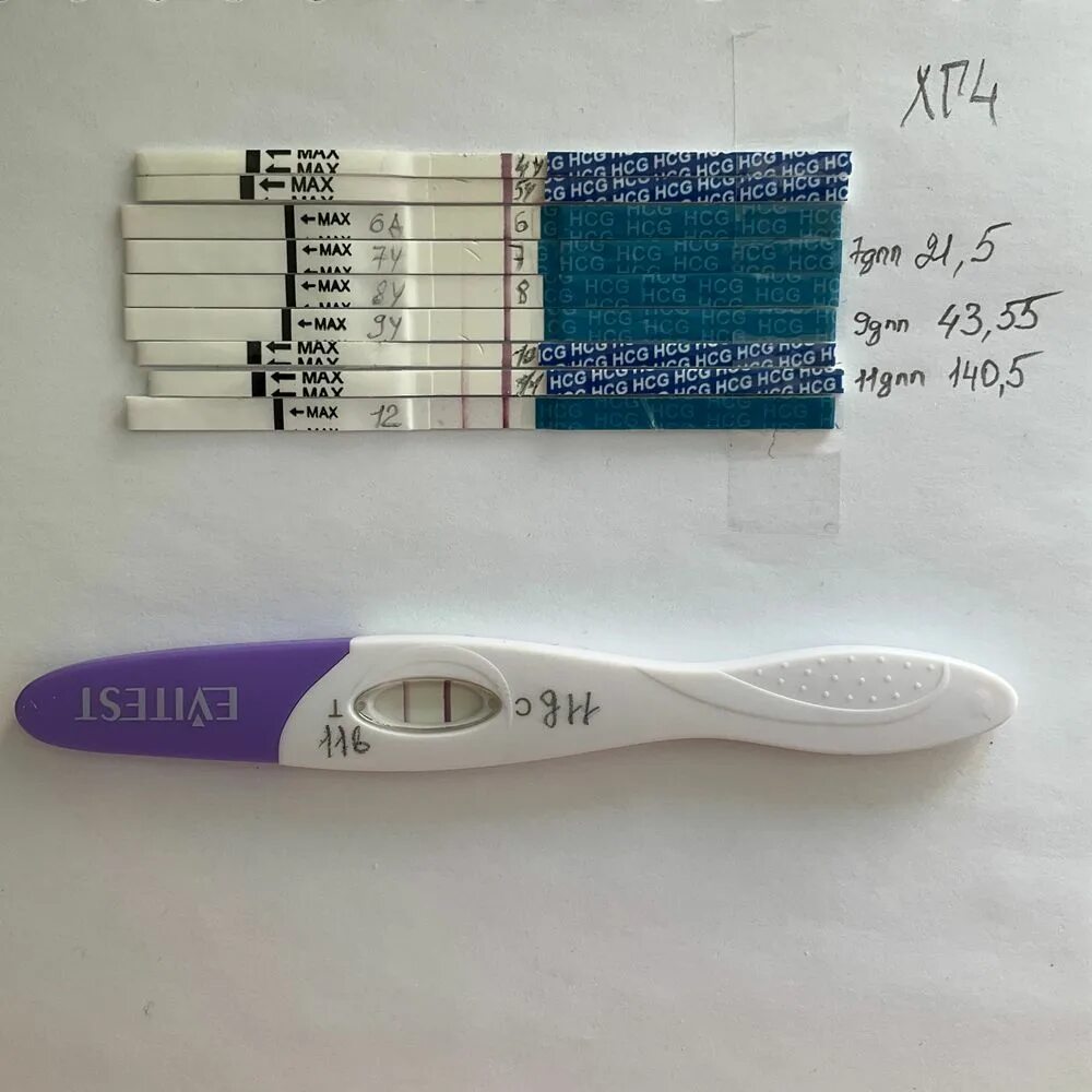 HCG тест. Тест на ХГЧ. Тест на 11 день после подсадки эмбриона. 11 ДПП тест.