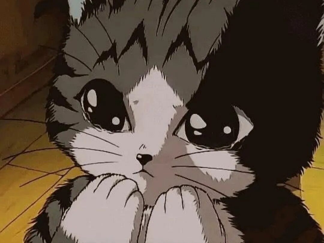 Sad cat animation. Sad cat аниме. аниме кот плачет. gerda grim. ретро аниме кот.