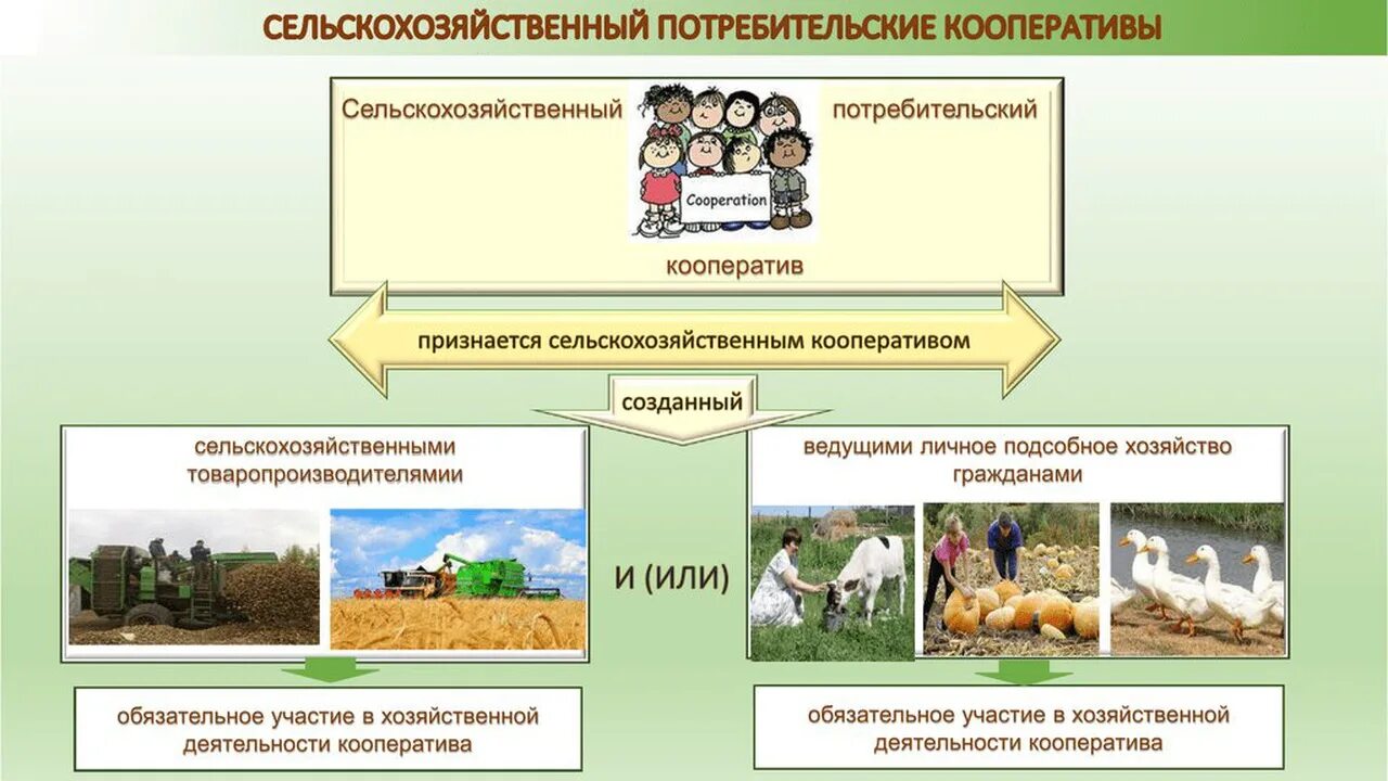 Деятельность потребительской кооперации. Сельскохозяйственный потребительский кооператив. Производственные и сельскохозяйственные кооперативы примеры. Сельскохозяйственные потребительские кооперативы презентация. Сельскохозяйственные потребительские кооперативы примеры.