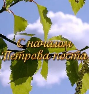 Добрый день с началом поста