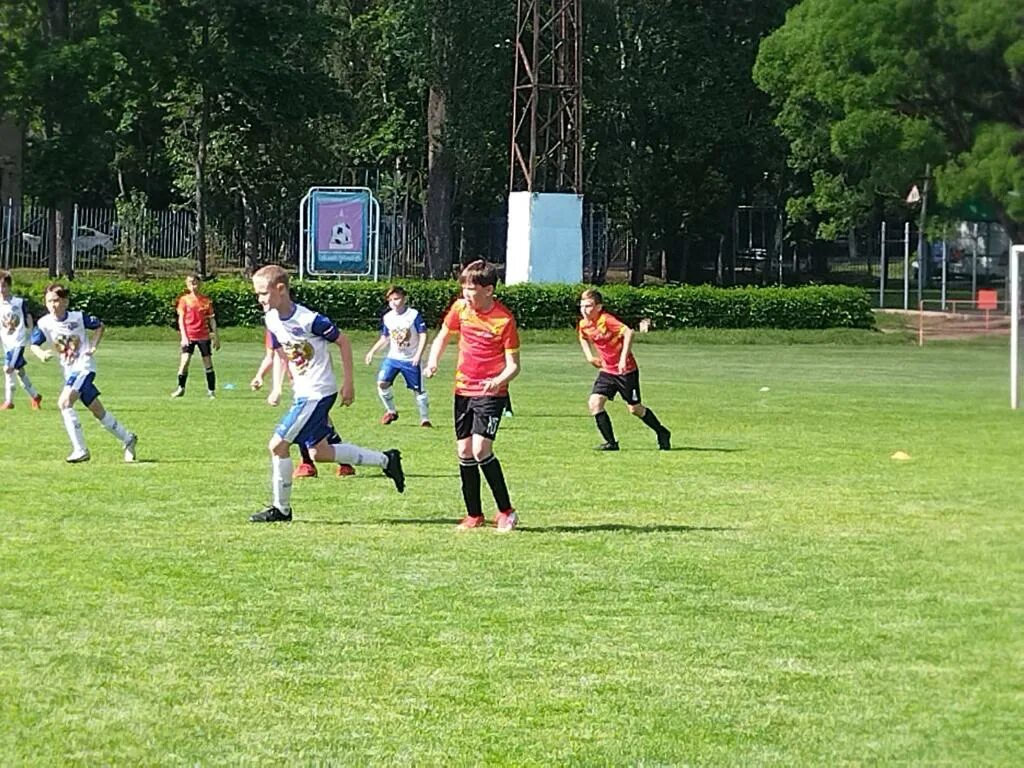 команды 2010 г р