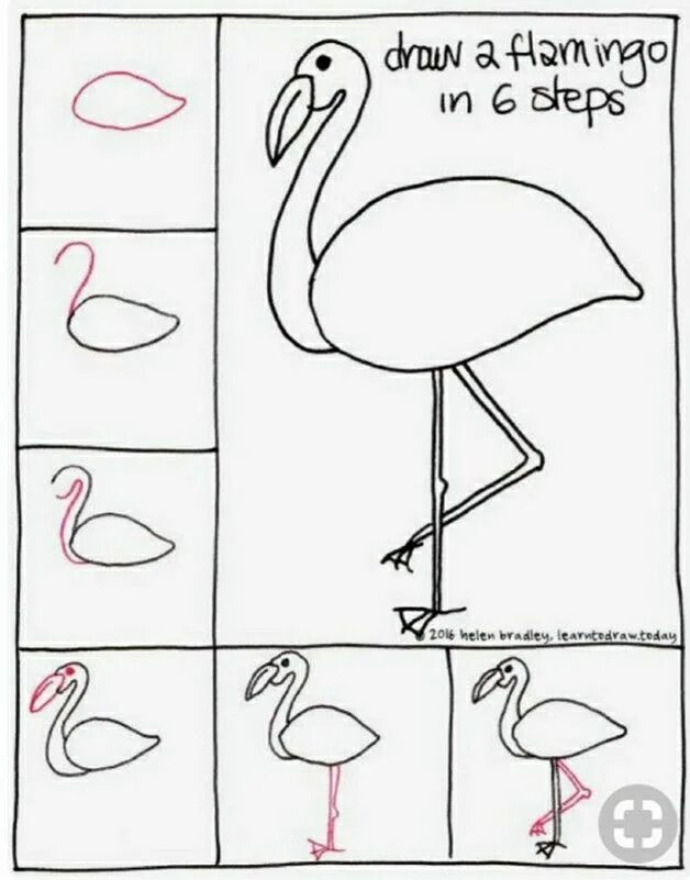 Фламинго карандашом. Фламинго для срисовки карандашом. Как нарисовать фламинго поэтапно. Розовый фламинго рисунок карандашом. Поэтапное рисование фламинго.
