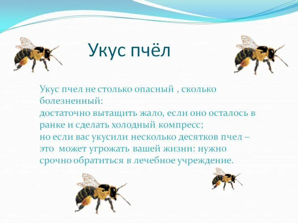 Сколько укусов пчел