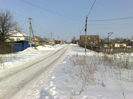 Фролово грачи