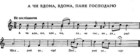 Добрый вечер тоби