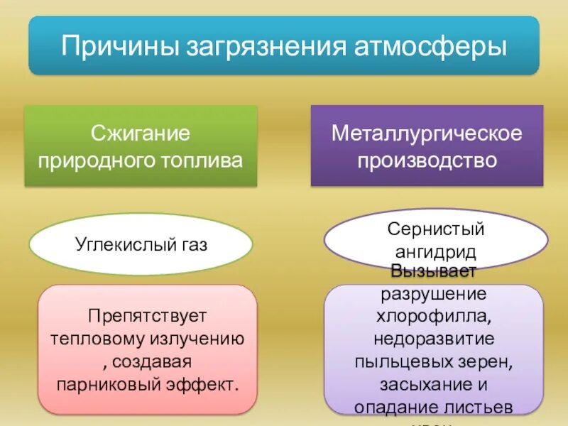 Последствия деятельности человека в экосистемах проект