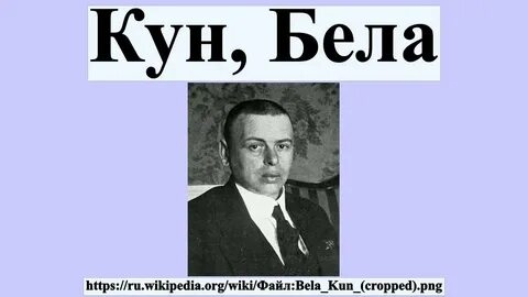 Куна википедия