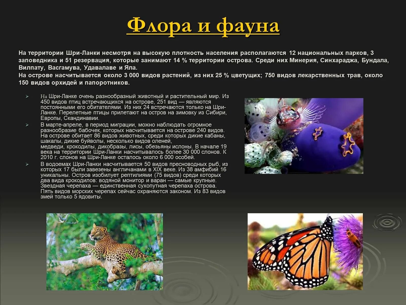 Значение фауны. Описание флоры и фауны.