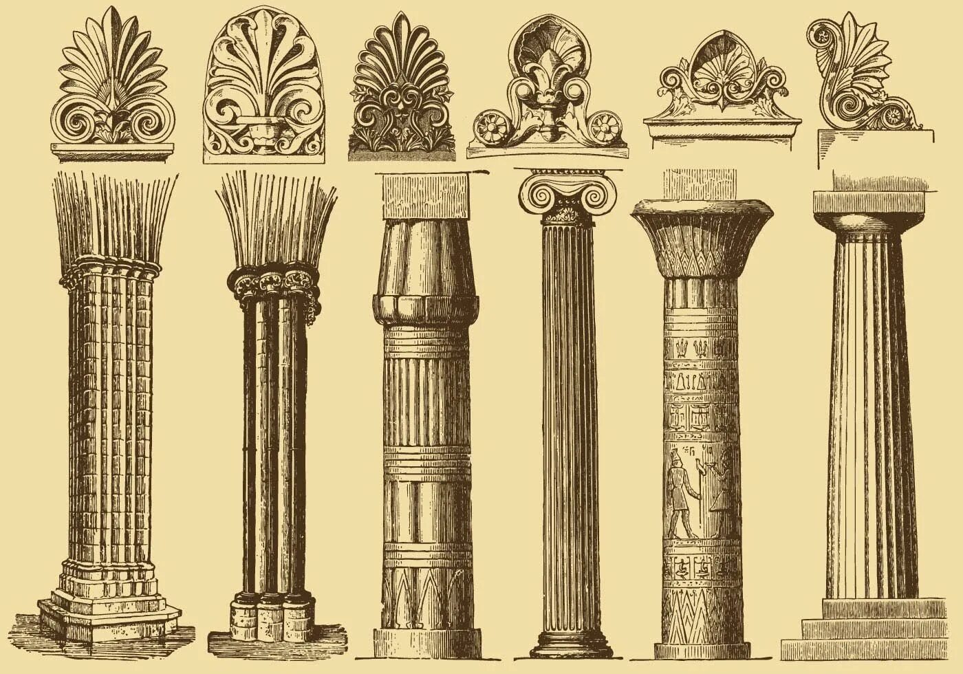 Columns types