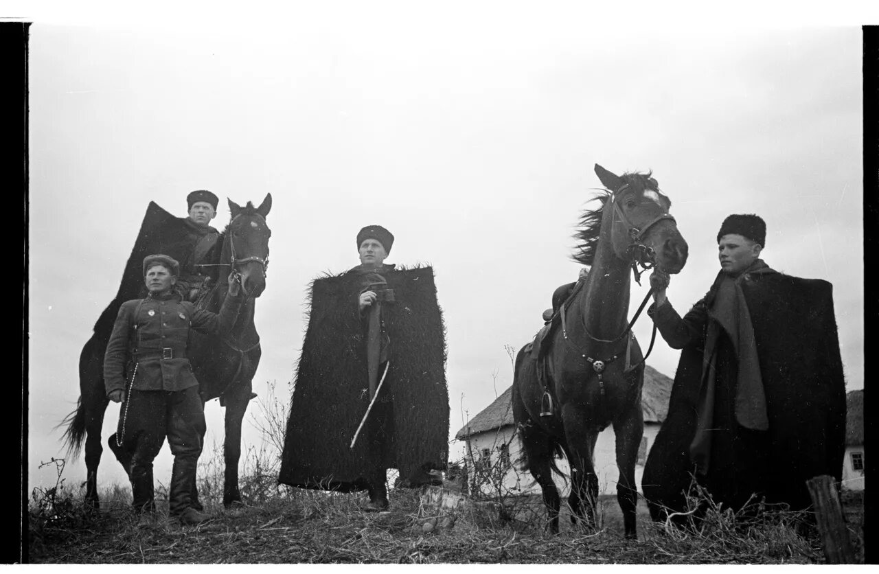 Казак вел. Донской казак великая отечественная. Лошади комсомольск на амуре. Казаки в поле фото. Кавалерия в великой отечественной войне 1941-1945.