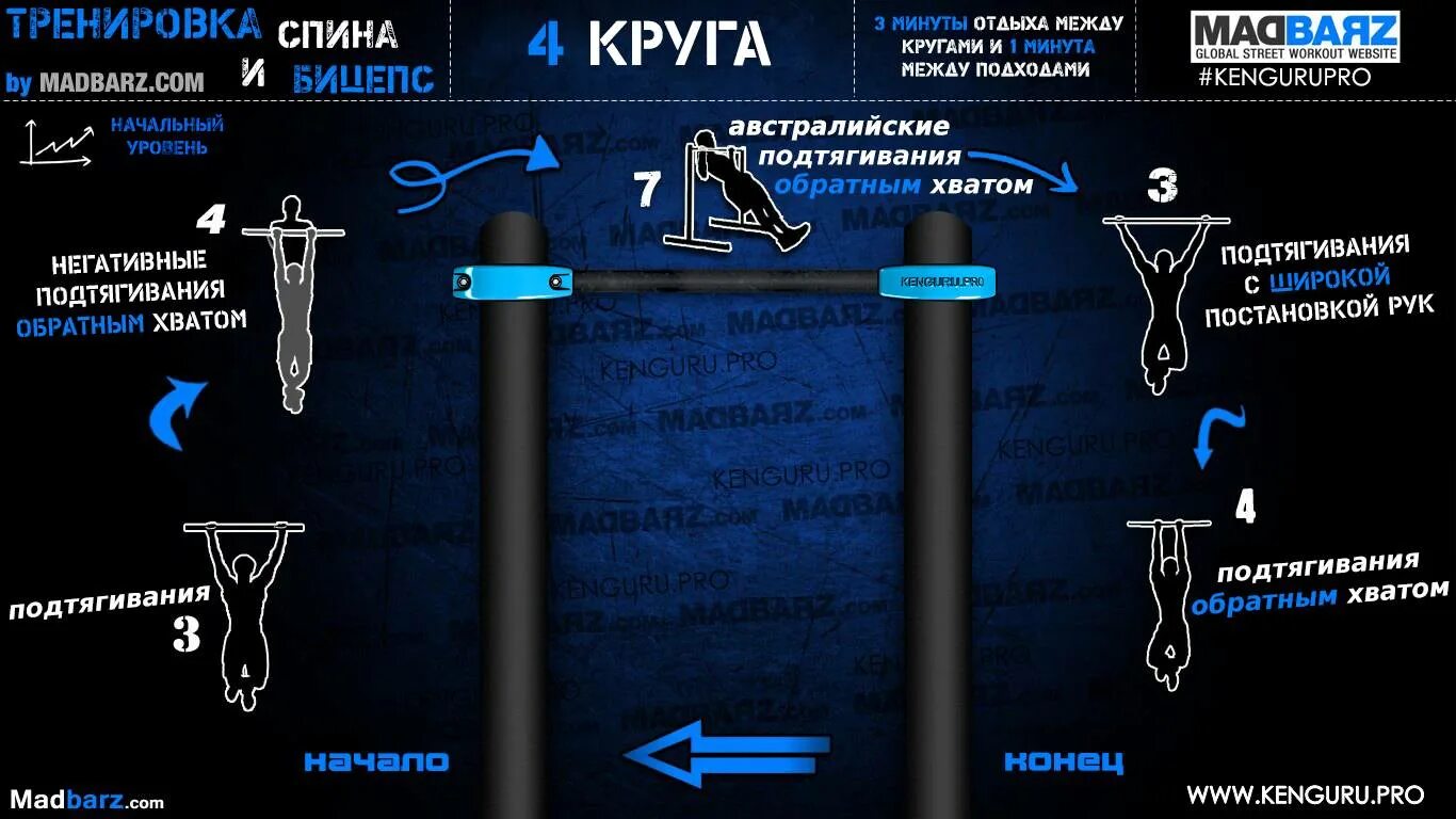 Уровни подтягиваний. Воркаут тренировки для начинающих. Воркаут упражнения для начинающих. Программа тренировок воркаут. Программа тренировок по воркауту.
