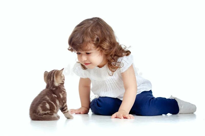 Котенок девочка как воспитывать. Кот для детей. Воспитание котенка. Горохов девочка с котятами. Кошка дает лапу.