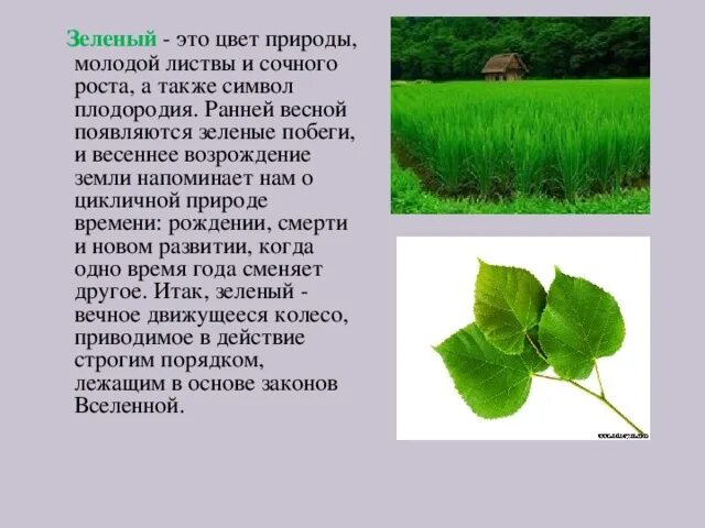 Зелёный цвет это цвет чего. Зеленый цвет в психологии. Сообщение про зелёный цвет. Презентация значение зеленого цвета.