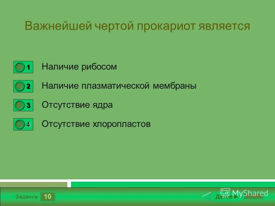 тест по биологии 9 класс синтез белка