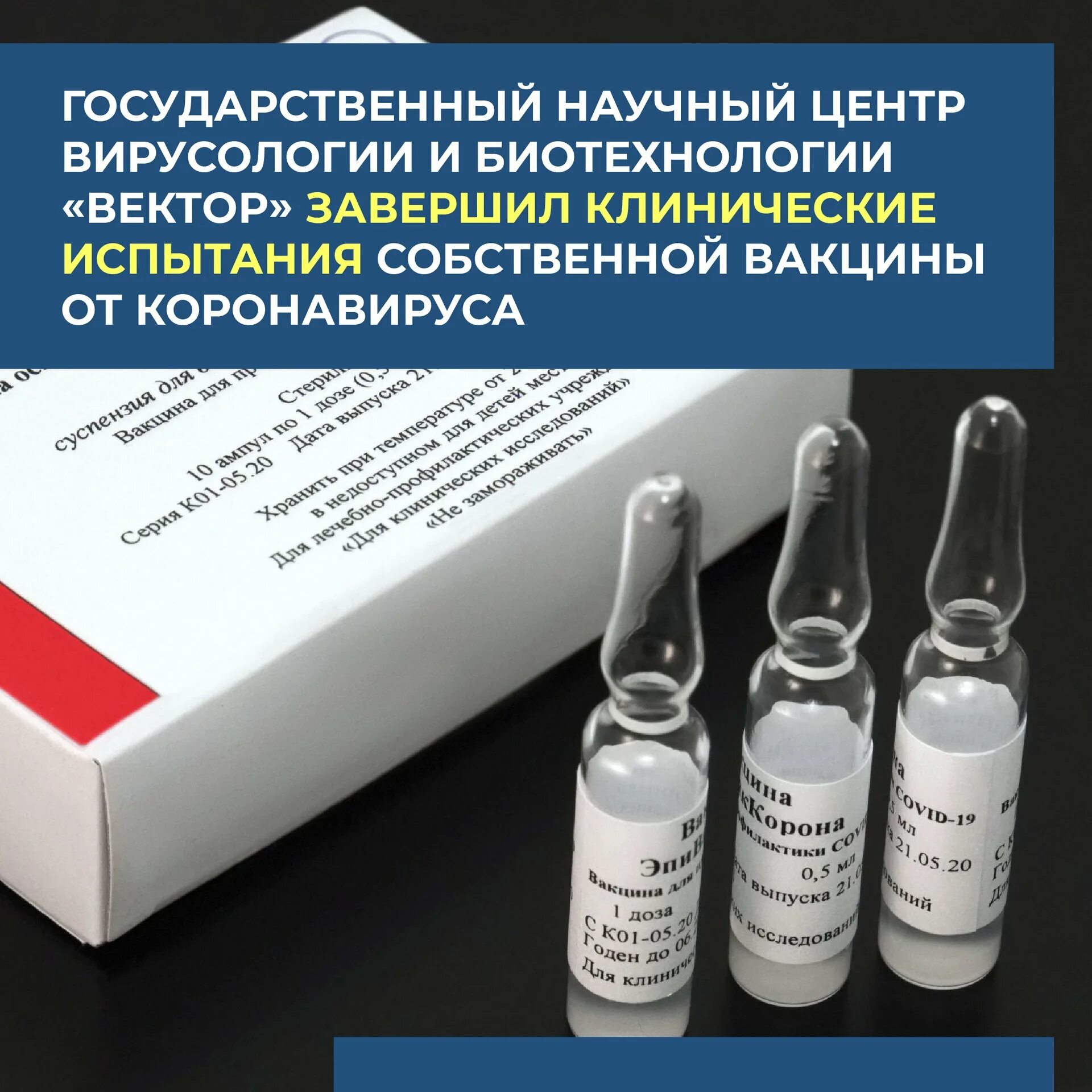 «вектор» — центр вирусологии и биотехнологии новосибирск. Новосибирский центр вирусологии «вектор». Центр вирусологии и биотехнологии вектор. Научный центр вектор новосибирск. Государственный научный центр вирусологии и биотехнологии «вектор».