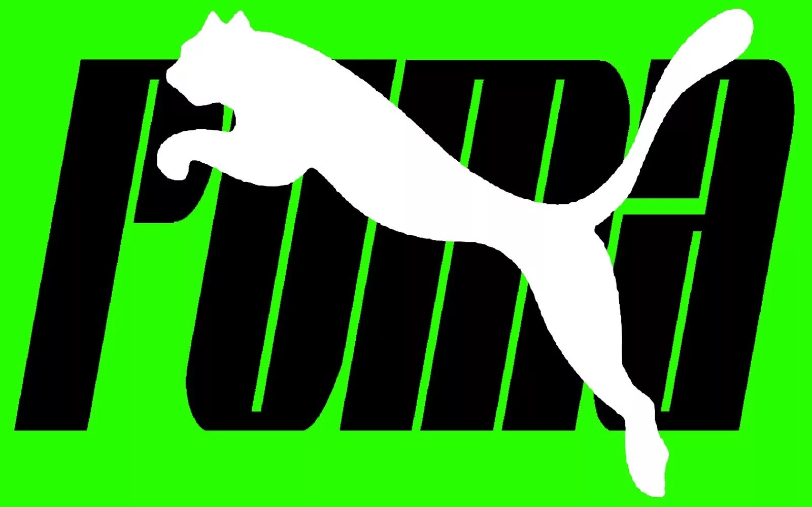 Пума логотип. Пума лого. puma фирма логотип. надпись пума. пиму логотип.