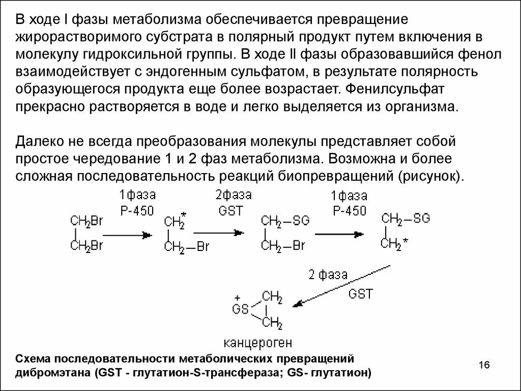 Фазы метаболической трансформации. Глутатионтрансферазы. Биотрансформация фенола в организме. Глутатион метаболизм. 1 2 дибромэтан реакция