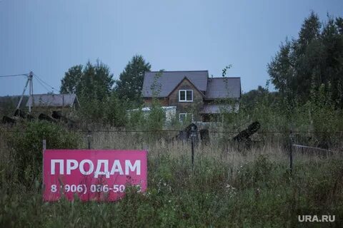 Нечесово шаховского