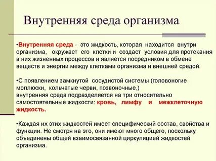Соотношение внутреннего и внешнего