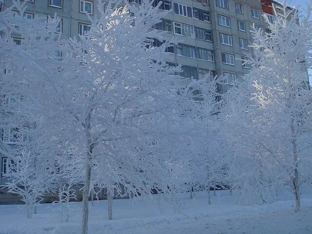 Сургут зимой. Нижневартовск зимой. Заснеженный Сургут.