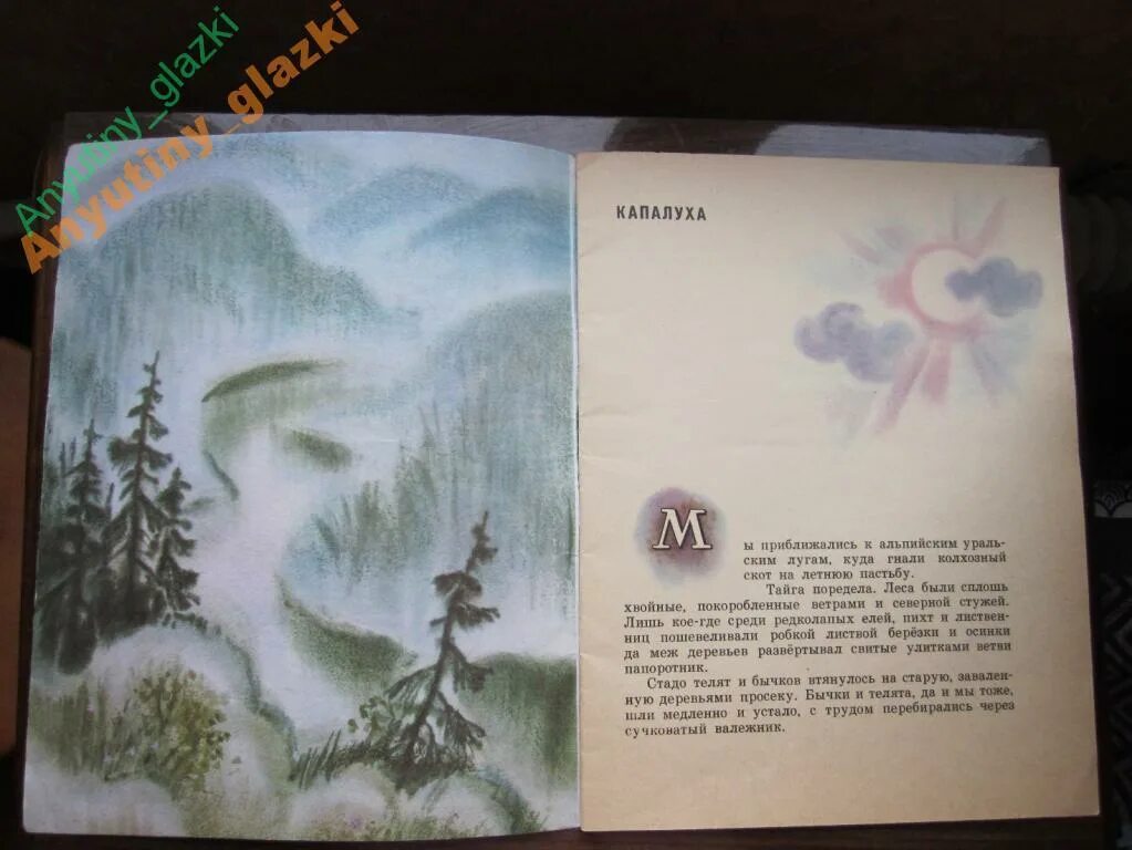 Сказка весенний остров в.Астафьев. Астафьев весенний остров. Рассказ весенний остров. Весенний остров астафьев читательский дневник